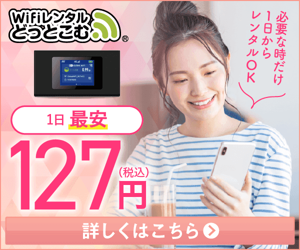 WiFiレンタルどっとこむ